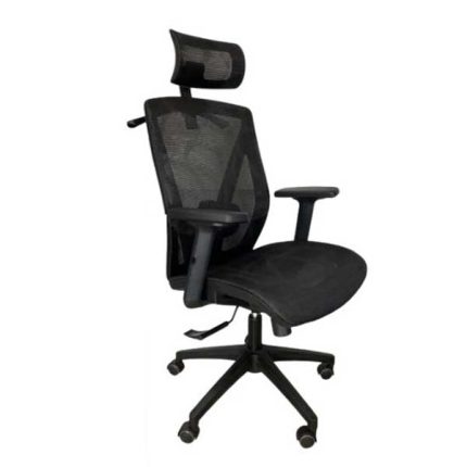 Ergonomic Mesh Chair