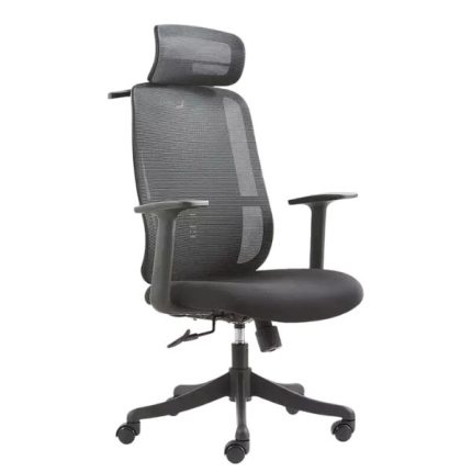 Ergonomic Chair