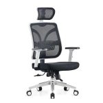 Ergonomic Chair