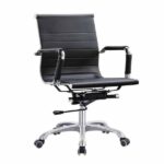 Low Back Computer Chair