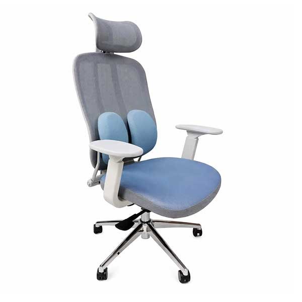 Untitled-101111 Beans Mesh Ergonomic Chair - Image 1